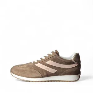 Nero Giardini Noemi Sneakers Basse da Donna – Marrone - E615160 D 442